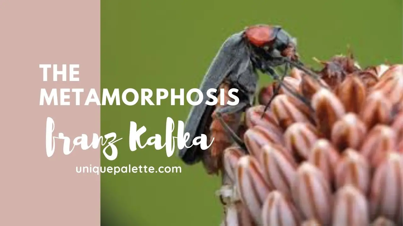 which Two Shifts Occur At The End Of Franz Kafka’s the metamorphosis?
